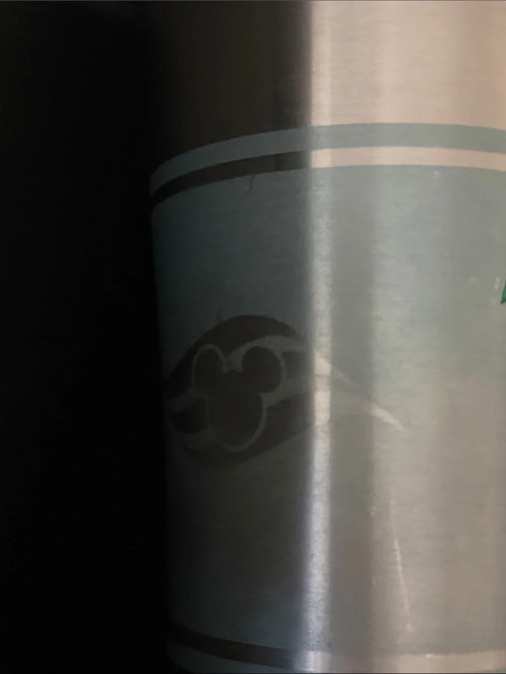Tervis Tumbler- Disney Cruise Line